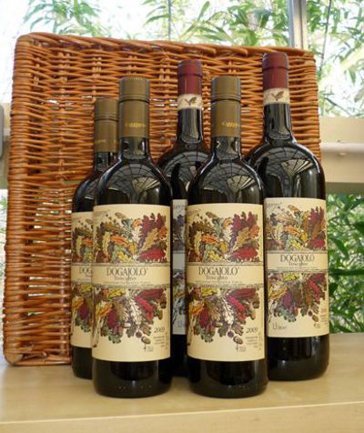 Dogajolo Rosso - a superb Italian red wine.